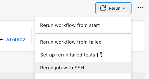 Rerun a job with SSH to directly access the build environment.